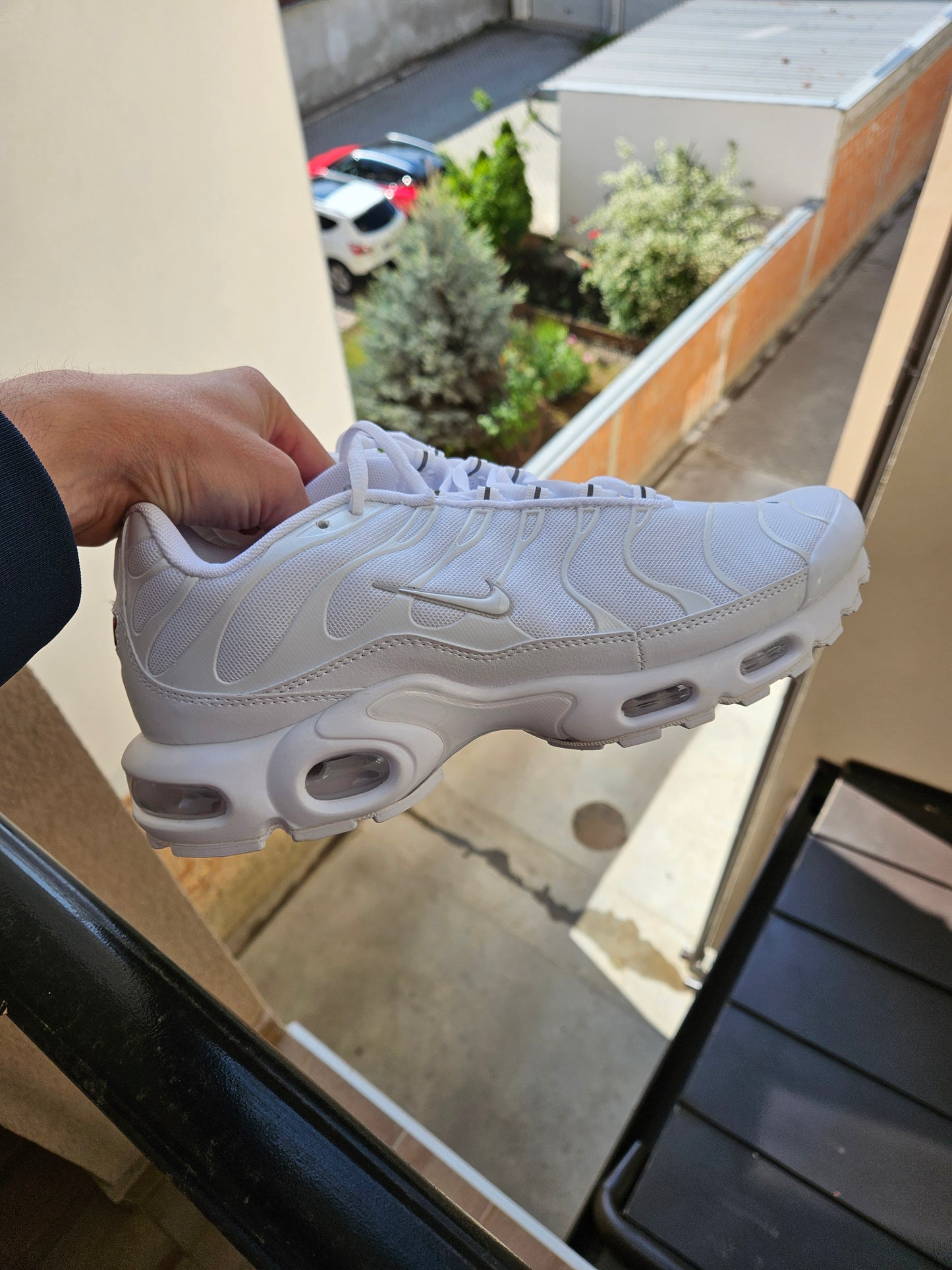 TN Triple White
