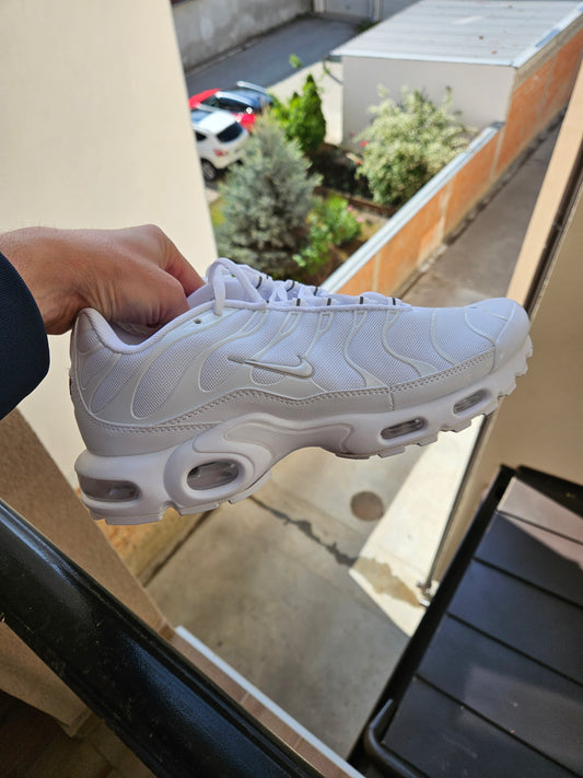 TN Triple White