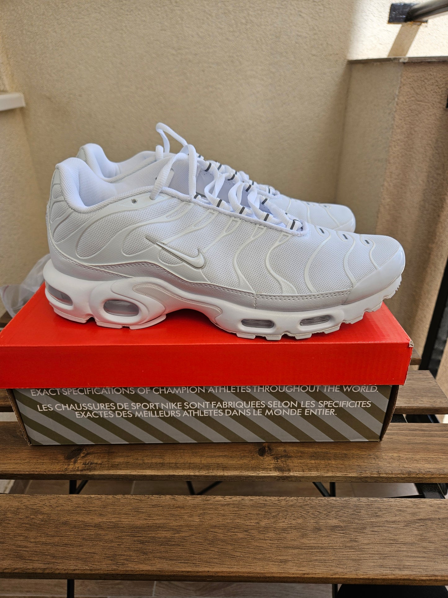 TN Triple White